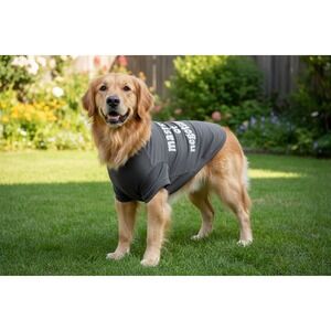 Grayson Pup Negotiation Short Sleeve Dog Hoodie Extra Large Gray